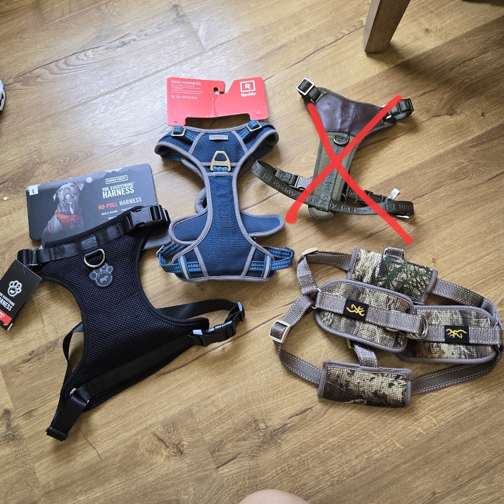 Dog Harness
